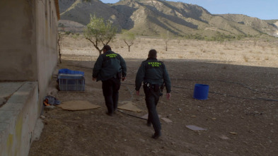 Imagen de Seprona en acción: Ep.6 - 2