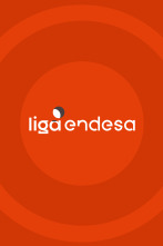 Imagen de Liga Endesa - 2