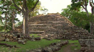 Imagen de Perdidos con Terry...: La ciudad prohibida del oro - 2
