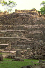 Imagen de Perdidos con Terry...: La ciudad prohibida del oro - 1