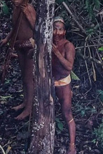 Imagen de Perdidos con Terry...: La maldición del triángulo de las Bermudas - 1
