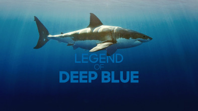 Imagen de La leyenda de Deep Blue - 2