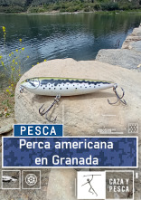 Imagen de Perca americana en Granada - 1