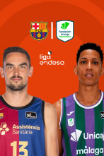 Jornada 29: Barça - Unicaja