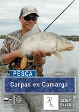 Imagen de Carpas en  Camarga - 1