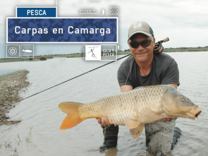 Imagen de Carpas en  Camarga - 2