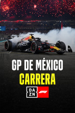 GP de México: Carrera