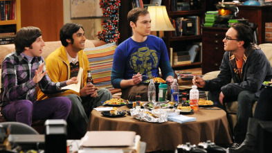 The Big Bang Theory (T5)