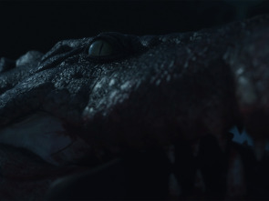 Croc!