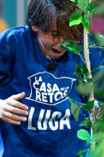 Imagen de La Casa de los... (T5): Programa 27 - 1
