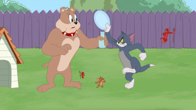 Imagen de El Show de Tom y Jerry (T5) - 2