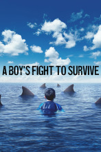 Luchando con tiburones