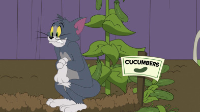 El Show de Tom y... (T3): Me importa un pepino