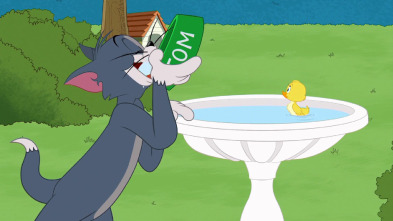 El Show de Tom y... (T3): Pobre patito