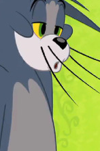 El Show de Tom y... (T3): Gato invisible