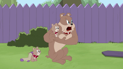 Imagen de El Show de Tom y... (T3): No es mi Tyke - 2