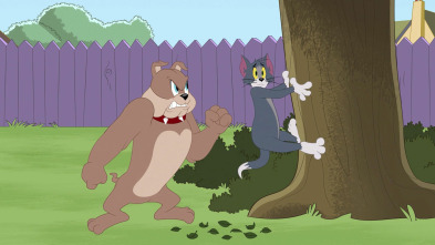 Imagen de El Show de Tom y... (T3): Las perrolimpiadas - 2