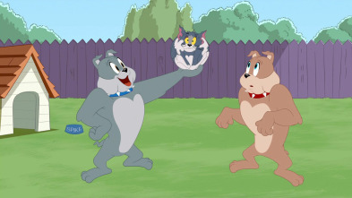 Imagen de El Show de Tom y... (T4): Oh, hermano - 2