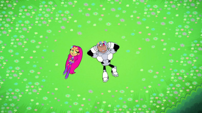 Imagen de Teen Titans Go! (T3): El jardín secreto - 2