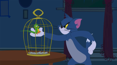 Imagen de El Show de Tom y... (T1): Más vale pájaro en mano - 2