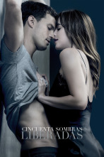 Cincuenta sombras liberadas