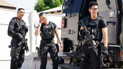 Imagen de S.W.A.T.:  Los... (T8): Ep.2 Unidad de bandas - 1