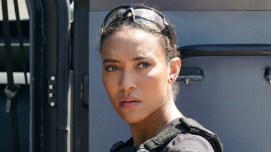 Imagen de S.W.A.T.:  Los... (T8): Ep.2 Unidad de bandas - 5