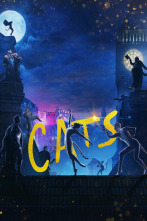 Imagen de Cats - 1