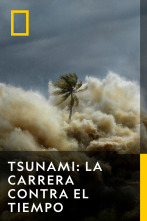 Imagen de Tsunami: La carrera contra el tiempo  - 1