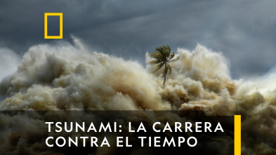 Imagen de Tsunami: La carrera contra el tiempo  - 2