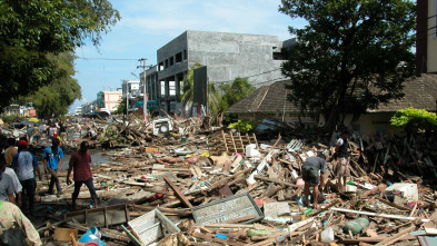 Imagen de Tsunami: La carrera...: La ola - 1