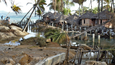 Imagen de Tsunami: La carrera...: Tailandia - 1