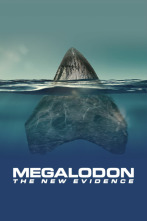 Megalodón: más pruebas