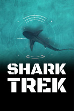 Imagen de Tiburones del Atlántico - 1