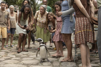 Imagen de Mi amigo el pingüino - 3