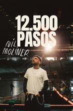 Imagen de Nil Moliner: 12.500 pasos - 1