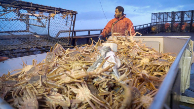 Imagen de Pesca radical: Nada excepto mamíferos - 2
