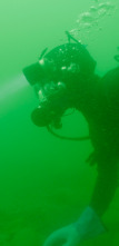 Imagen de La pesca del oro (T12): Apocalipsis Nome - Parte 2 - 1