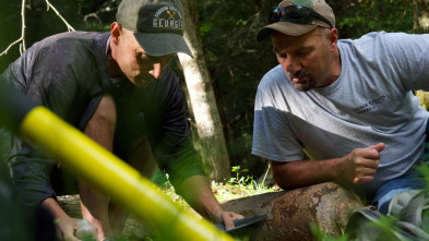 Imagen de Oro para novatos... (T1): Hay oro en las colinas de Georgia - 2