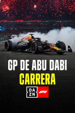 Imagen de GP de Abu Dabi (Yas...: GP de Abu Dabi: Carrera - 1
