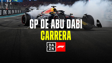 Imagen de GP de Abu Dabi (Yas...: GP de Abu Dabi: Carrera - 2