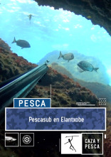 Imagen de Pescasub en Elantxobe - 1