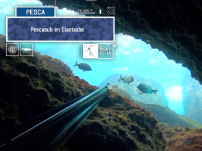 Imagen de Pescasub en Elantxobe - 2