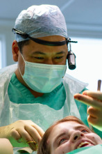Cirugía facial (T1): La trompa del elefante