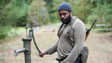 The Walking Dead (T4): Ep.14 La arboleda