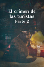 Luz en la oscuridad: El crimen de las turistas II