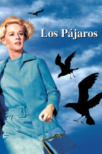 Imagen de Los pájaros - 1