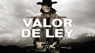 Valor de ley