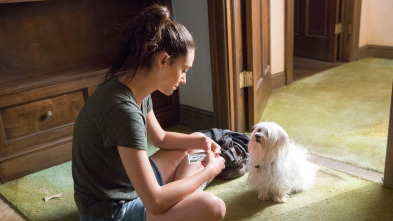 Shameless (T8): Ep.6 Ícaro cayó y Rusty se lo comió
