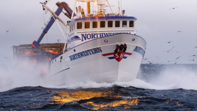 Pesca radical (T14): Líneas de batalla